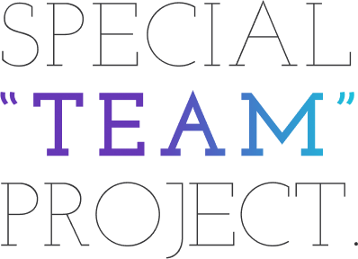SPECIAL TEAM PROJECT